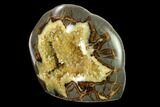 Beautiful, Crystal Filled Septarian Geode - Utah #149960-3